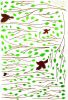Intellectual Plant - Wall Decals Stickers Appliques Home Dcor