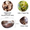 Set 2 Coconut Bowls &Wooden Spoon Organic Cereal Smoothie Natural Breakfast Bowls